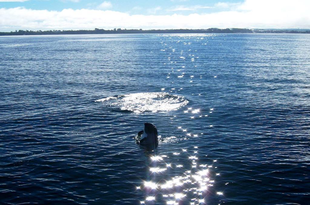 Punta Piedras Lodge & Marina Puerto Montt Zewnętrze zdjęcie